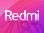 Redmi Y3, HP Baru Xiaomi dengan Kamera Selfie 32MP Pesaing Huawei P30 dan Vivo V15