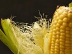 Sering Dibuang, Ternyata Rambut Jagung Punya Manfaat Luar Biasa untuk Kesehatan