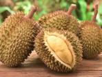 Sering Dibuang Begitu Saja, Sebenarnya Biji Durian Punya 3 Manfaat untuk Tubuh Kita Lo