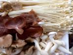 Simak Manfaat Jamur untuk Mencegah Penyakit Gangguan Otak