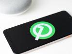 Android Q beta Resmi Meluncur, Ini Daftar Hp yang Bisa Rasakan Updateannya