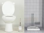 Mana yang Lebih Sehat, Toilet Duduk atau Toilet Jongkok? Simak Penjelasan Berikut