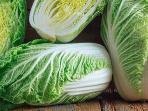 4 Manfaat Kesehatan Konsumsi Sawi Putih yang Jarang Disadari