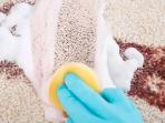 6 Langkah Mudah Hilangkan Noda Kotor Akibat Minuman yang Tumpah di Karpet