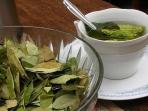 8 Manfaat Kesehatan Rutin Minum Teh Daun Salam 2 Kali Sehari, Buktikan!
