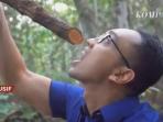 Kini Dijual dengan Harga Jutaan, Jangan Asal Konsumsi Tumbuhan Bajakah yang Viral Bisa Sembuhkan Kanker 