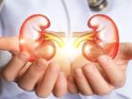 Mengkonsumsi Makanan Sehat hingga Kurangi Tingkat Stress, Simak Cara Mencegah Penyakit Gagal Ginjal