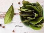 Meski Menyehatkan, Daun Salam Ternyata Berbahaya Jika Dikonsumsi oleh Orang dengan 4 Kondisi Ini