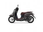 Cari Skutik Murah? Ini Pilihan Honda Scoopy Tahun 2014-2019
