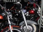 Daftar Moge Bekas Murah Harga Mulai Rp 70 Juta, Ada Kawasaki, Honda hingga Harley Davidson
