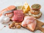 Diet Karnivora Merusak Kesehatan Usus, Kontrol Konsumsi Daging Berlebih Jika Tak Ingin Mengalaminya