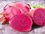 Mencegah Diabetes hingga Menurunkan Berat Badan, Ini Manfaat Mengonsumsi Buah Naga