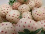 Pineberry, Buah Berbentuk Stroberi Rasa Mirip Nanas