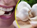 4 Manfaat Kesehatan Rutin Makan 1 Siung Bawang Putih Mentah Tiap Pagi, Buktikan Yuk