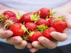 5 Manfaat Buah Strawberry yang Bisa Membatu Proses Dietmu
