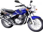 Harga di Bawah 15 Juta, Ini 3 Pilihan Motor Seken Area Surabaya dan Malang Ada Yamaha dan Honda 
