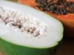 Manfaat Kesehatan Pepaya Muda, Tak Banyak yang Tahu Bisa Bantu Diet dengan Bakar Kalori