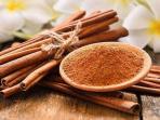 Bisa Menangkal Semut, Inilah 4 Manfaat dan Cara Menggunakan Kayu Manis untuk Tanaman di Rumah