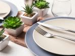 Buat Lebih Istimewa, Berikut 5 Panduan Mendekorasi Ruang Makan dengan Tanaman