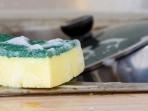 Dampaknya Tak Main-main, Begini Cara Bersihkan Spons Dapur dari Sarang Kuman