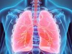 Lakukan 6 Kebiasaan Baik Ini untuk Menjaga Kesehatan Paru-paru, Salah Satunya Tidak Merokok