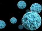 Masih Dibayangi Corona, Muncul Norovirus dengan Infeksi yang Sangat Menular, Apa Penyebabnya?