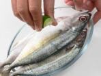 Tinggi Kandungan Merkuri, Jenis Ikan Ini Justru Berbahaya Jika Dikonsumsi 