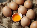 Waspada, Salah Cara Konsumsi 5 Makanan Sehari-hari Ini Bisa Sebabkan Keracunan