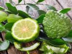 6 Manfaat Menakjubkan Daun Jeruk Purut Selain Sebagai Penyedap Masakan
