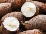 9 Makanan Berbahaya di Dunia yang Tak Banyak Orang Tahu, Salah Satunya Singkong