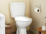 Begini Cara Membersihkan Noda dan 5 Tips Lain dalam Mengatasi Permasalahan Kloset atau Toilet di Rumah Anda