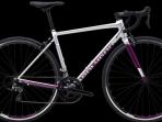 Cek Harga 3 Rekomendasi Roadbike Polygon Strattos S2 dan S5 Area Jogja dan Bandung