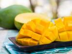 Meski Sehat dan Menyegarkan, Ternyata Penderita Penyakit Ini Tak Boleh Konsumsi Buah Mangga