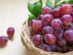 Suka Mengonsumsi Anggur? Ini Sederet Manfaat yang Bisa Diperoleh dari Buah Tersebut