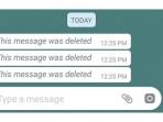 Tak Banyak yang Tahu, Begini Cara Membaca Chat Whatsapp Meski Sudah Dihapus Pengirim