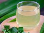 Cobalah Rutin Minum Air Rebusan Daun Pandan Tiap Hari, Dapatkan 5 Khasiat Menakjubkan Ini