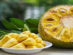 Manfaat dan Bahaya Mengonsumsi Buah Nangka
