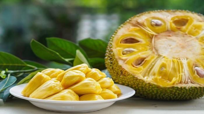 Manfaat dan Bahaya Mengonsumsi Buah Nangka