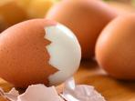 Rasakan 5 Khasiat Ini dengan Rutin Makan 2 Butir Telur Setiap Hari