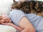 Risiko Kesehatan yang Timbul Jika Sering Tidur Sama Kucing