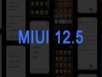 Sudah Resmi Diluncurkan, Berikut 18 Smartphone Xiaomi yang Kebagian Update MIUI 12.5