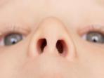Tak Banyak yang Tahu, Ternyata Lubang Hidung Sebelah Kiri dan Kanan Itu Punya Fungsi Berbeda, Ini Penjelasannya