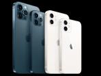 Terbaru, Daftar Harga iPhone 12, iPhone 12 Mini, iPhone 12, iPhone 12 Pro Max 