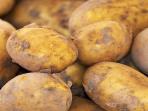 6 Jenis Sayuran dan Bahan Makanan Ini Sebaiknya Dimasak Terlebih Dahulu Sebelum Dikonsumsi