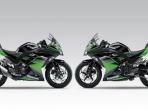 6 Pilihan Motor Sport Kawasaki Ninja Seken, Cek Harganya di Beberapa Wilayah di Indonesia 