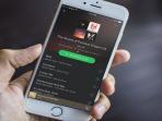 Buat Kamu Pengguna iPhone dan iPad, Begini Cara Bersihkan Cache Data Spotify