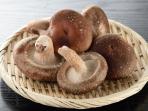 Cegah Kanker hingga Lawan Obesitas, Ini 5 Manfaat Jamur Shiitake untuk Kesehatan