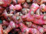 Jaga Kondisi Jantung hingga Turunkan Berat Badan dengan Minum Air Rebusan Jahe Merah