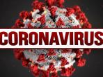 Ahli Ungkap Lama Waktu Virus Corona Bertahan di Udara, Kardus, Plastik, Tembaga, dan Pakaian