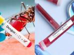 Dianggap Mirip, Kenali Beda Gejala DBD dan Virus Corona Agar Tak Salah Diagnosa